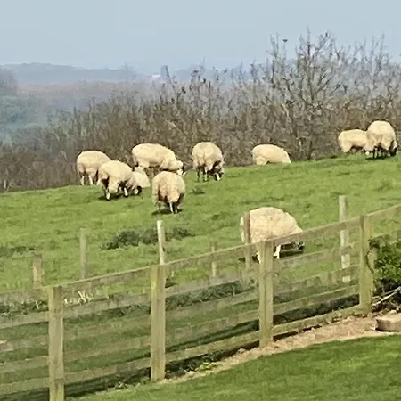 The Carpenters Arms 5*