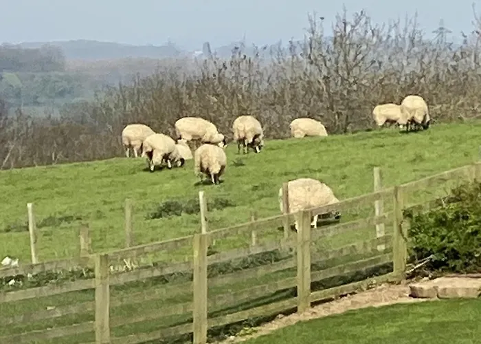 The Carpenters Arms 5*